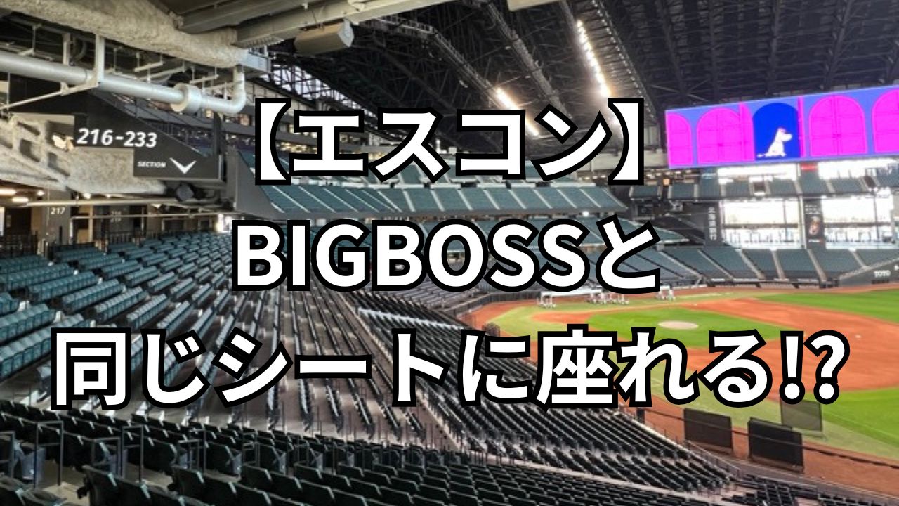bigboss-seat